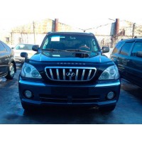 Мухобойка Hyundai Terracan 2001-2007 (Vip Tuning)