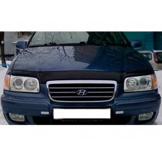 Мухобойка Hyundai Trajet 1999–2008 (Vip Tuning)