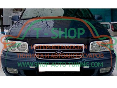 Мухобойка, дефлектор капота Hyundai Trajet 1999–2008 (Vip Tuning)