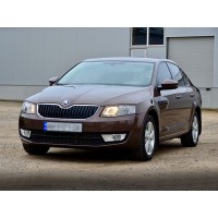 Реснички на фары Skoda Octavia A7 2013-2017