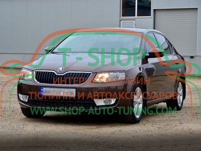 Реснички на фары Skoda Octavia A7 2013-2017 (стеклопластик, под покраску)
