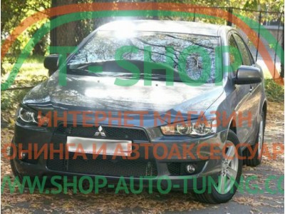 Реснички на фары Mitsubishi Lancer 10 Передние (стеклопластик, под покраску)