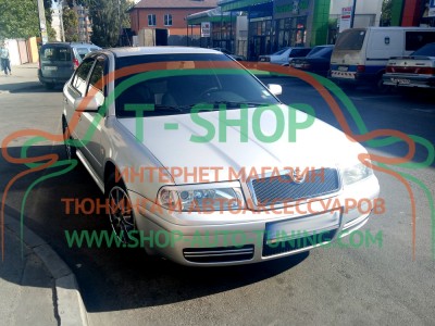 Реснички на фары Skoda Octavia Tour 1997-2008 (стеклопластик, под покраску)