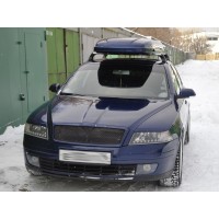 Реснички на фары Skoda Octavia A5 2004-2009