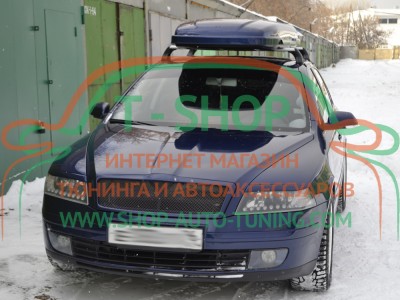Реснички на фары Skoda Octavia A5 2004-2009 (стеклопластик, под покраску)