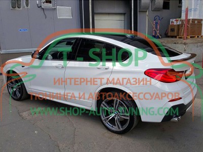 Спойлер BMW X6 E71 Лип